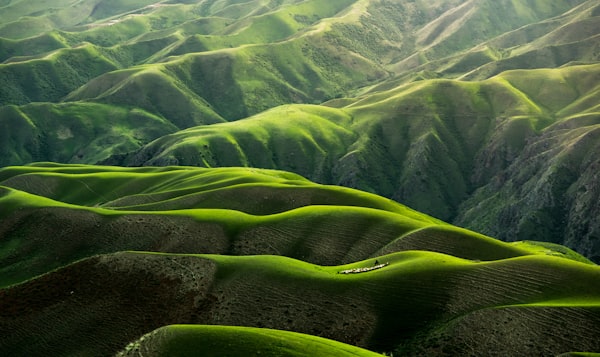 春暖花开风景图