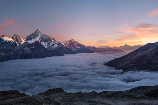 绿草如茵风景