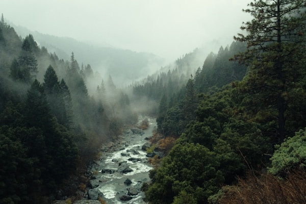 干燥沙漠景观